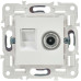 SKANDY Розетка двойная TV+RJ45 кат.6 SK-A15W арктический белый IEK SKANDY Розетка двойная TV+RJ45 кат.6 SK-A15W арктический белый IEK