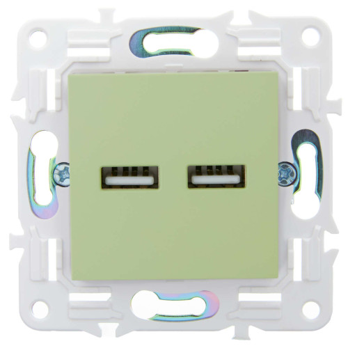 SKANDY Розетка USB A+A 3,1А SK-R15G мятный IEK