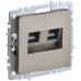 BRITE Розетка компьютерная двойная RJ45 кат.5E РК10-2-БрШ шампань IEK
