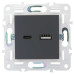 SKANDY Розетка USB A+C 3,1А SK-R14T титан IEK