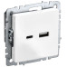 BRITE Розетка USB A+C 18Вт РЮ11-1-БрБ белый IEK