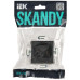 SKANDY Розетка без заземления без защитных шторок 10А SK-R02T титан IEK
