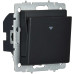 BRITE Выключатель карточный 30А ВС10-1-8-БрЧ черный IEK BRITE Выключатель карточный 30А ВС10-1-8-БрЧ черный IEK
