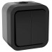 TORS Выключатель двухклавишный 10А IP55 TS105 графит IEK TORS Выключатель двухклавишный 10А IP55 TS105 графит IEK