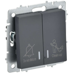 BRITE Выключатель 2-клавишный с индикацией для отелей 10А ВС10-2-9-БрГ графит IEK