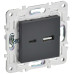 SKANDY Розетка USB A+C 18Вт SK-R13T титан IEK