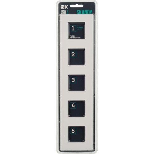 SKANDY Рамка 5-местная SK-F25W стекло арктический белый IEK