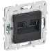 SKANDY Розетка компьютерная двойная RJ45 кат.5E SK-K03G графит IEK SKANDY Розетка компьютерная двойная RJ45 кат.5E SK-K03G графит IEK