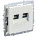 BRITE Розетка компьютерная двойная кат.5E RJ45 РК10-2-БрЖ жемчуг IEK