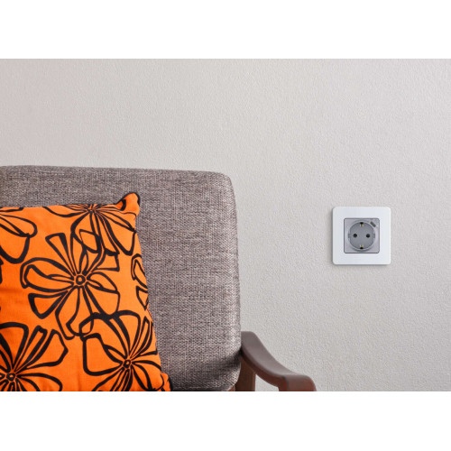 INSPIRIA Розетка 1-местная с заземлением с защитными шторками 16А с USB C 5В безвинтовое крепление алюминий