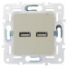 SKANDY Розетка USB A+A 3,1А SK-R15B бежевый IEK SKANDY Розетка USB A+A 3,1А SK-R15B бежевый IEK