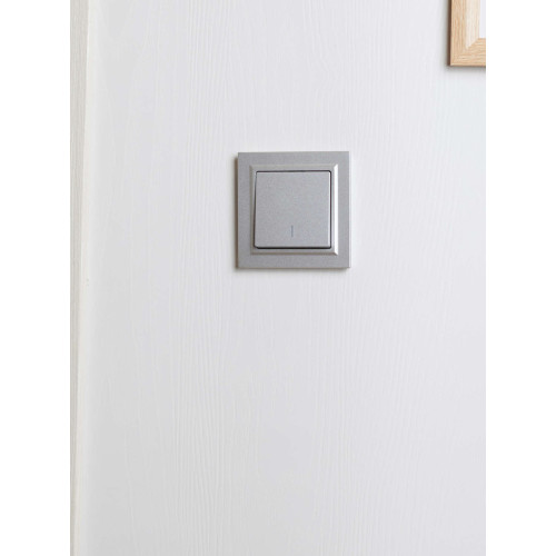 BRITE Рамка 1-местная IP44 РУ-1-БрА-44 алюминий IEK