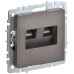 BRITE Розетка компьютерная двойная RJ45 кат.5E РК10-2-БрТБ темная бронза IEK