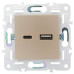 SKANDY Розетка USB A+C 3,1А SK-R14Sh шампань IEK