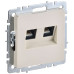 BRITE Розетка двойная RJ11+RJ45 кат.5E РК/Т12-БрКр бежевый IEK BRITE Розетка двойная RJ11+RJ45 кат.5E РК/Т12-БрКр бежевый IEK