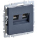 BRITE Розетка компьютерная двойная RJ45 кат.5E РК10-2-БрМ маренго IEK