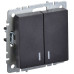 BRITE Выключатель 2-клавишный с индикацией 10А ВС10-2-1-БрЧ черный IEK BRITE Выключатель 2-клавишный с индикацией 10А ВС10-2-1-БрЧ черный IEK
