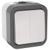 TORS Выключатель двухклавишный 10А IP55 TS205 серо-белый IEK TORS Выключатель двухклавишный 10А IP55 TS205 серо-белый IEK