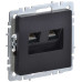 BRITE Розетка компьютерная двойная RJ45 кат.5E РК10-2-БрЧ черный IEK
