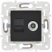 SKANDY Розетка двойная TV+RJ45 кат.5E SK-A14Bl черный IEK SKANDY Розетка двойная TV+RJ45 кат.5E SK-A14Bl черный IEK