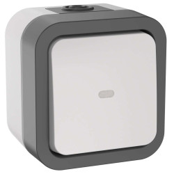 TORS Переключатель одноклавишный с индикацией 10А IP55 TS202 серо-белый IEK