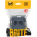 BRITE Розетка компьютерная двойная RJ45 кат.6 РК11-2-БрМ маренго IEK BRITE Розетка компьютерная двойная RJ45 кат.6 РК11-2-БрМ маренго IEK