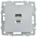 BRITE Розетка USB A+C 45Вт высокоскоростная зарядка РЮ11-2-БрА алюминий IEK