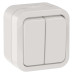 TORS Выключатель двухклавишный 10А IP55 TS305 белый IEK TORS Выключатель двухклавишный 10А IP55 TS305 белый IEK