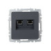 BRITE Розетка компьютерная двойная RJ45 кат.6 РК11-2-БрГ графит IEK BRITE Розетка компьютерная двойная RJ45 кат.6 РК11-2-БрГ графит IEK