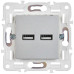 SKANDY Розетка USB A+A 3,1А SK-R15S серебряный IEK SKANDY Розетка USB A+A 3,1А SK-R15S серебряный IEK