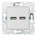 SKANDY Розетка USB A+A 3,1А SK-R15W арктический белый IEK