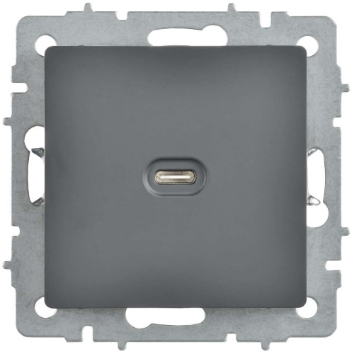 BRITE Розетка USB C 65Вт высокоскоростная зарядка РЮ12-1-БрГ графит IEK