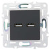 SKANDY Розетка USB A+A 3,1А SK-R15G графит IEK