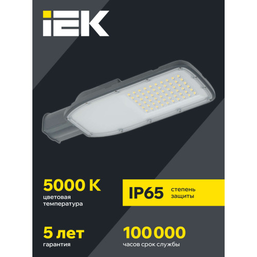 Светильник светодиодный консольный ДКУ 1004-100Ш 5000К IP65 серый IEK