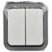 TORS Выключатель двухклавишный 10А IP55 TS205 серо-белый IEK TORS Выключатель двухклавишный 10А IP55 TS205 серо-белый IEK
