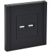 FORTE&PIANO Розетка USB A+A 3,1А FP149 черный IEK FORTE&PIANO Розетка USB A+A 3,1А FP149 черный IEK